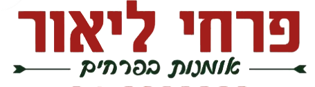 Lior Logo